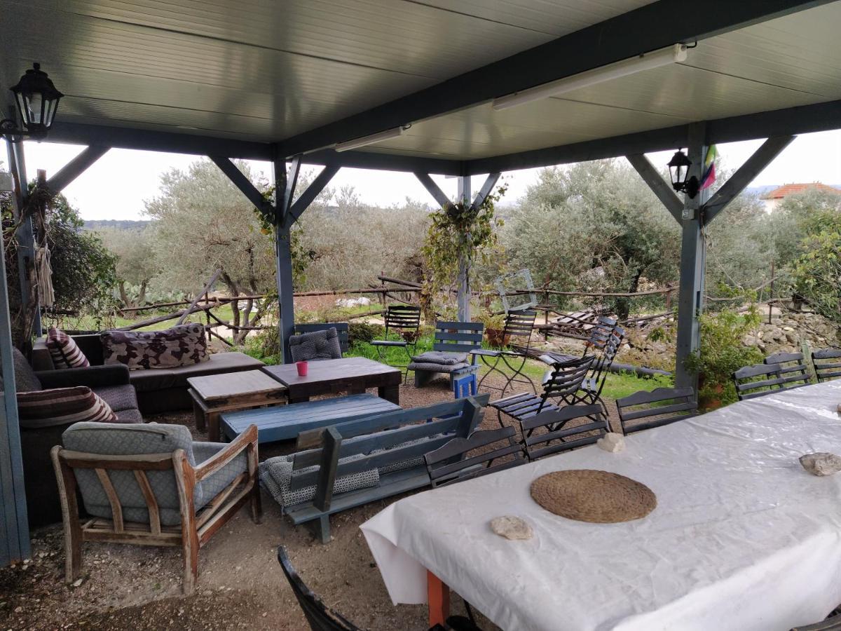 Galilee Bedouin Camplodge Tabash Exteriér fotografie