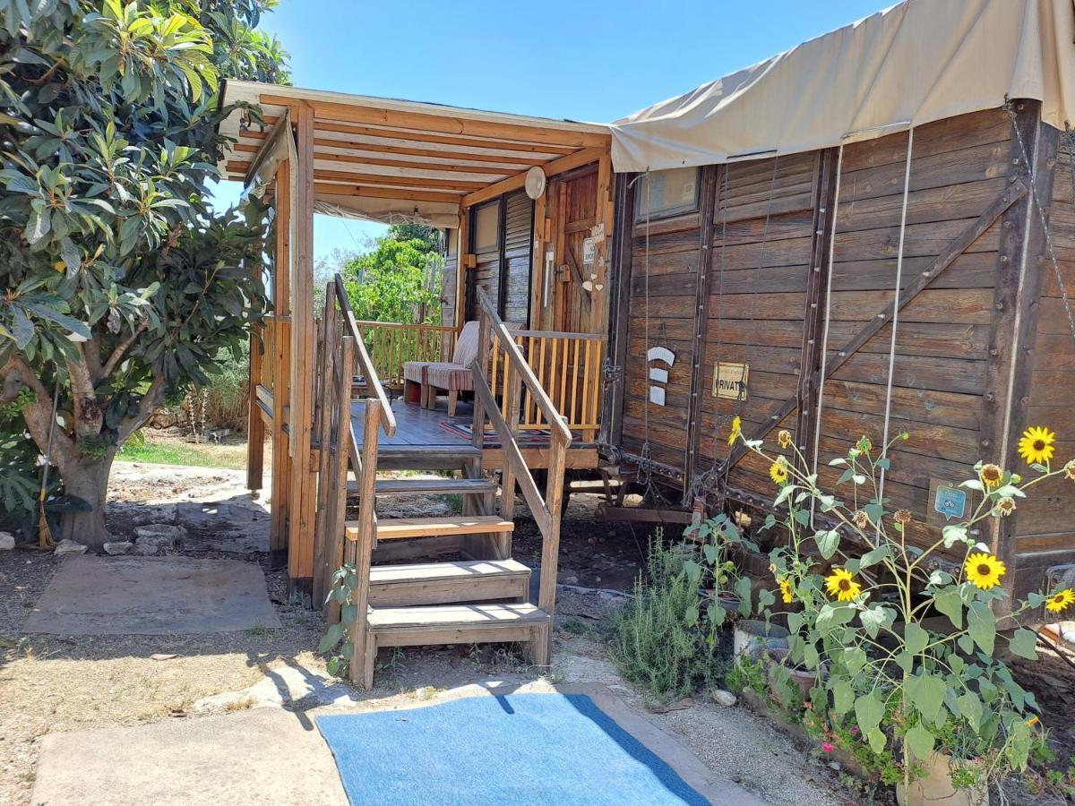 Galilee Bedouin Camplodge Tabash Exteriér fotografie
