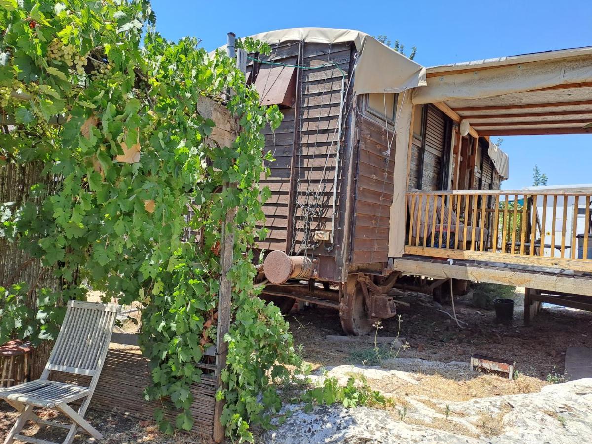 Galilee Bedouin Camplodge Tabash Exteriér fotografie