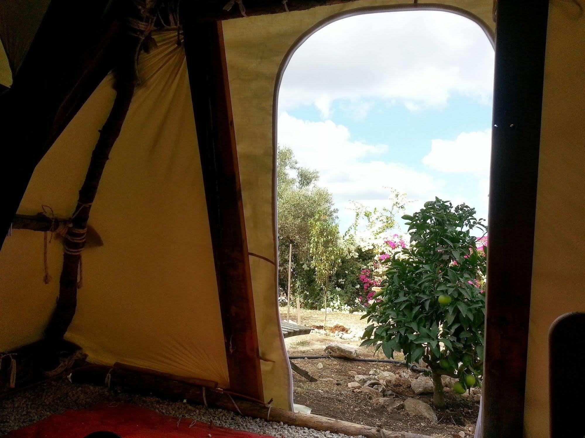 Galilee Bedouin Camplodge Tabash Exteriér fotografie